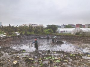 望都河道鱼塘清淤